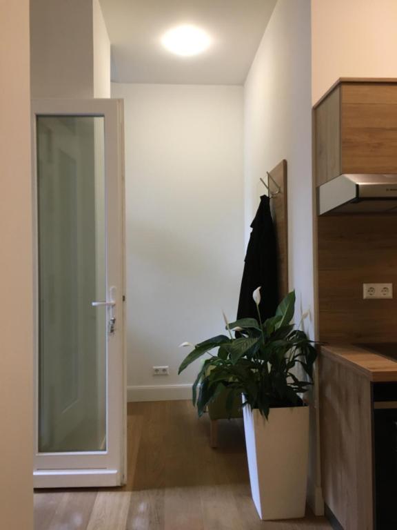 Fotografie z fotogalerie ubytování Perkeo Apartments v destinaci Heidelberg