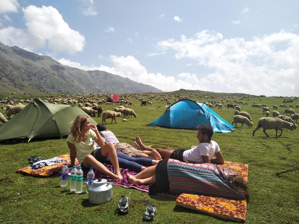 Mountain Magic Trek N Tours Pahalgam Updated 2021 Prices