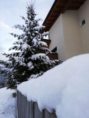 Appartement Nani v zime