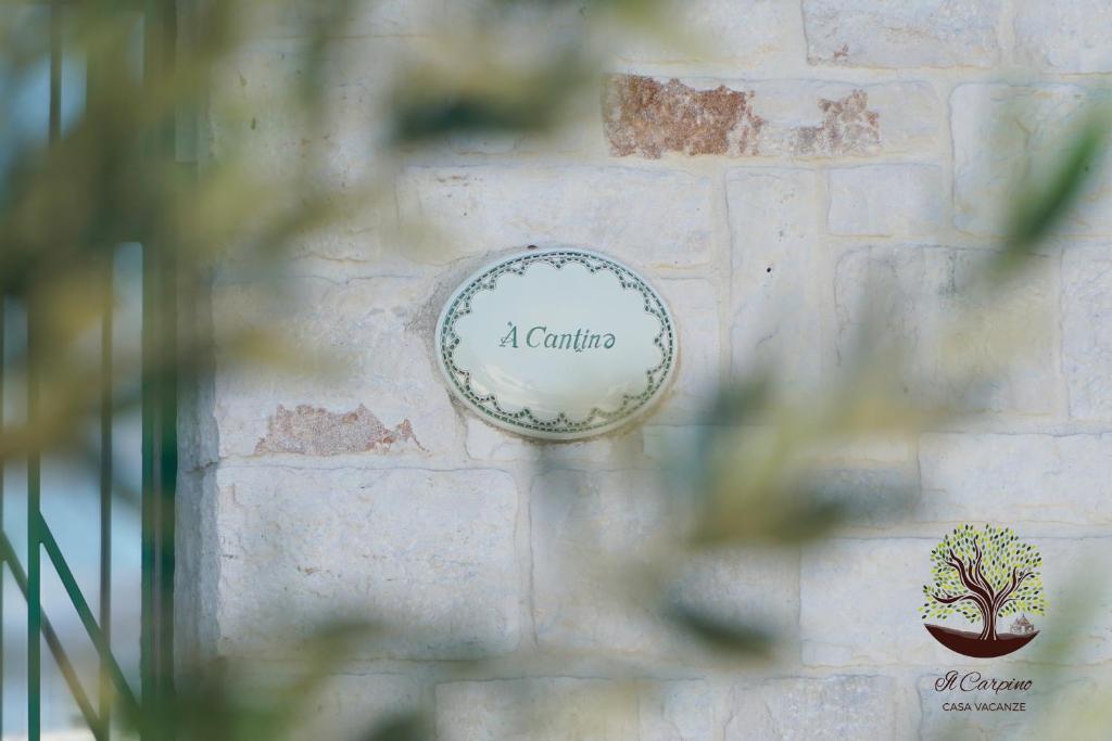 A garden outside Il Carpino
