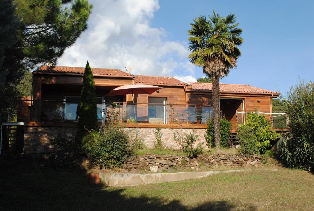 a house with a palm tree in front of it at VILLA ANGELINI in Valle-di-Campoloro