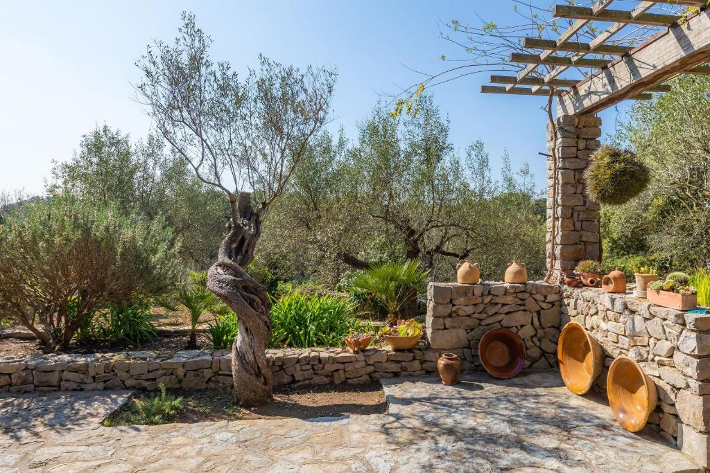 A garden outside Na Pineda