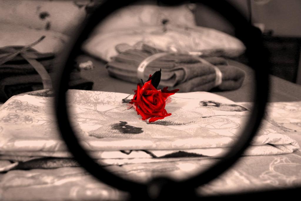 una rosa roja sentada sobre una cama en Nafpaktos Apartments, en Nafpaktos