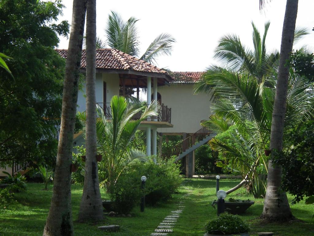 タンガラにあるCoconut Islandのヤシの木が茂る庭の中の家
