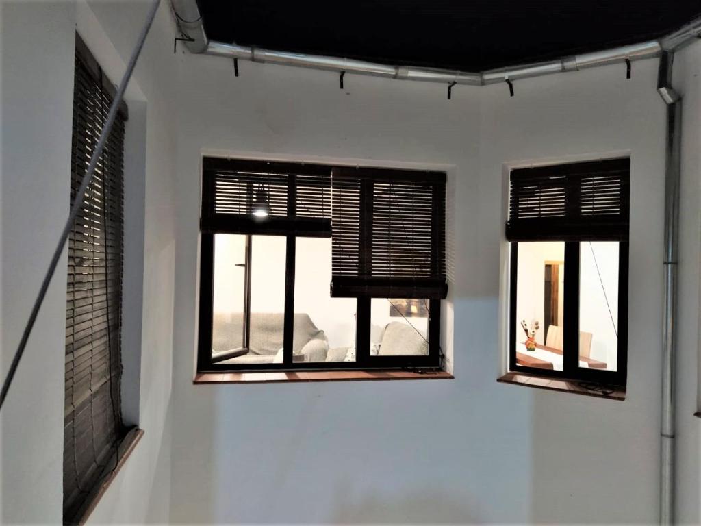 Entre patios y flores - 19