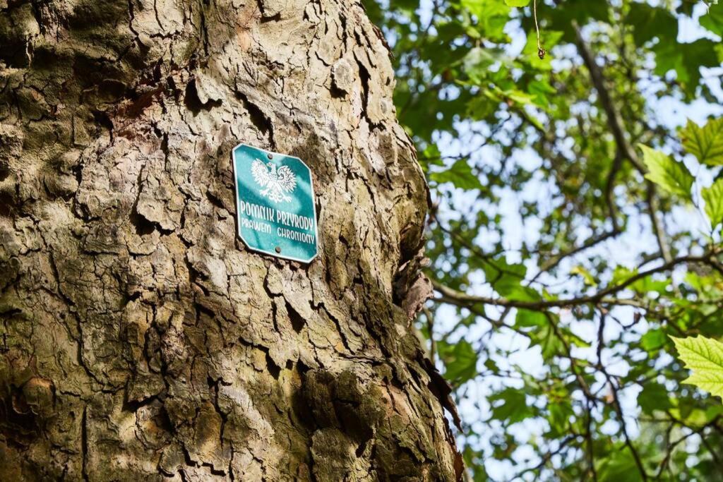 Certifikát, ocenenie alebo iný dokument vystavený v ubytovaní HOUSEHOST Apartment I: Studencka Street