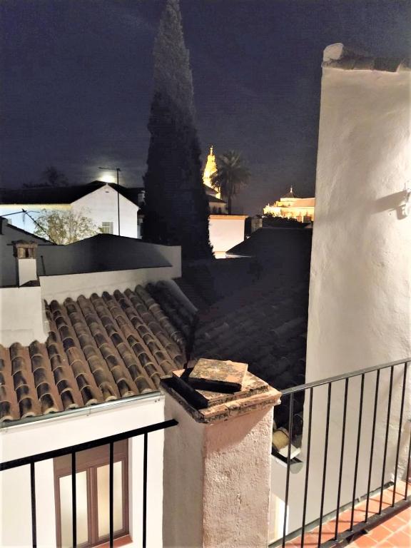 Entre patios y flores - 12