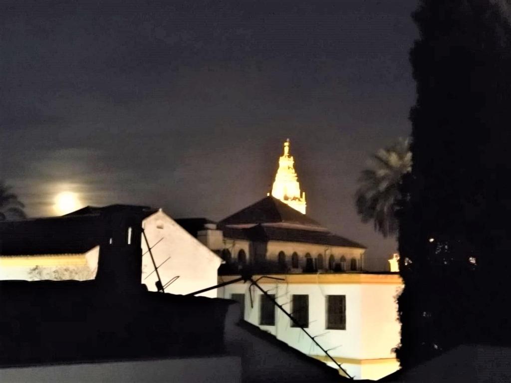 Entre patios y flores - 14