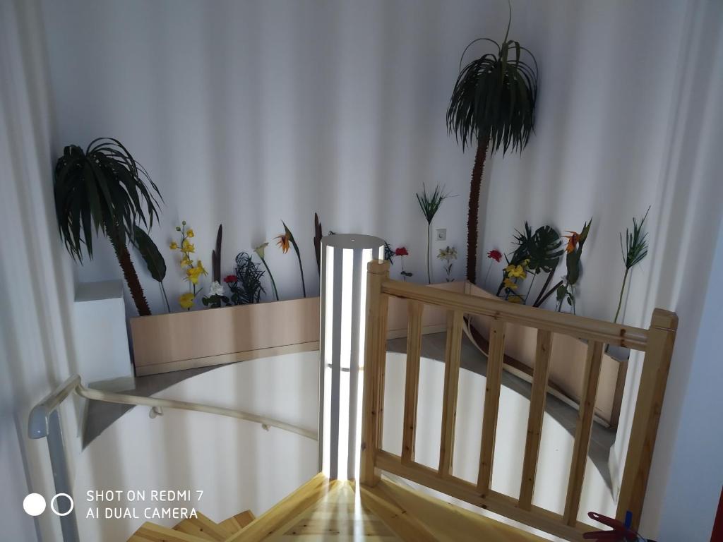 Vista Del Mare Rooms - Resim 23