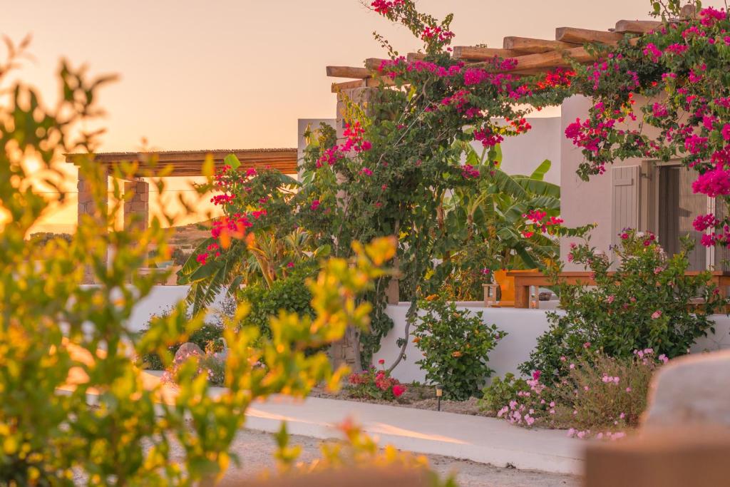 a garden with pink flowers on a building at Milis Houses in Adamantas