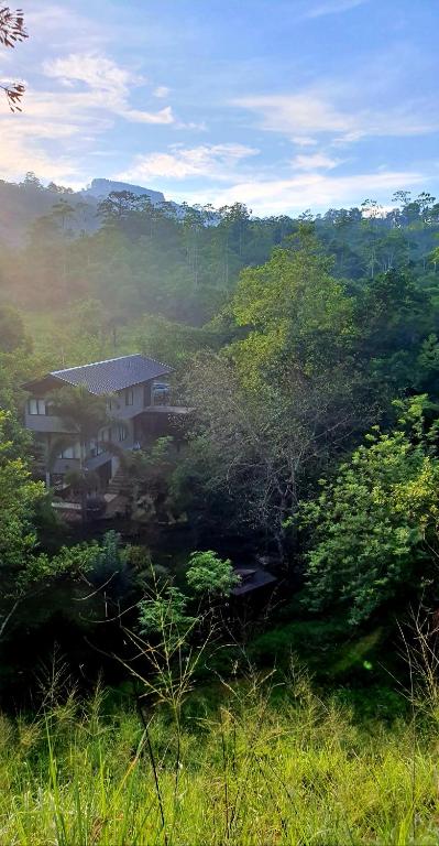 a house in the middle of a field with trees at Willow's Abode in Kandy