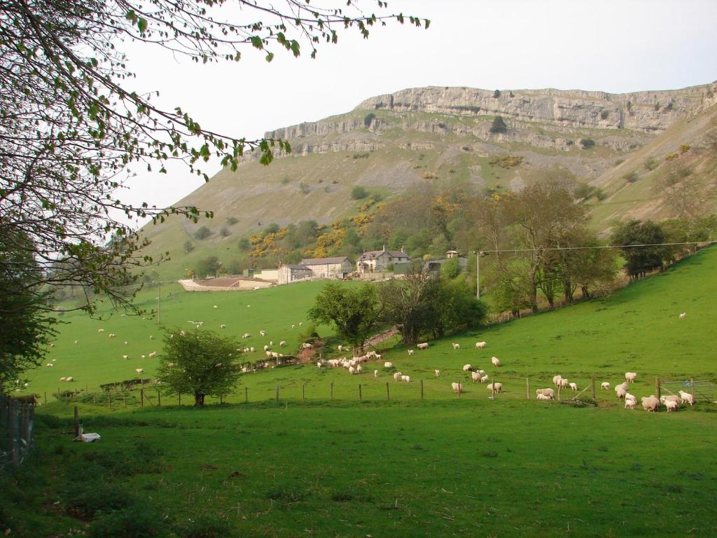 Panorama Cottages - Two-Bedroom Cottage