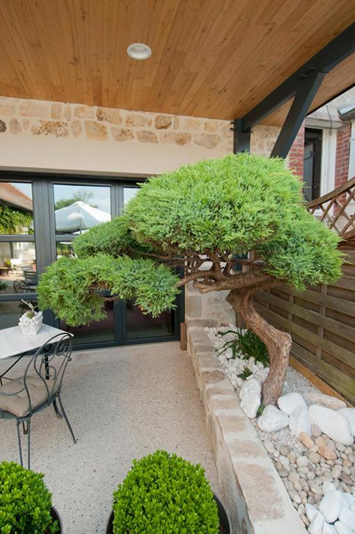 Zahrada ubytování Logis Hotel Restaurant Nougier