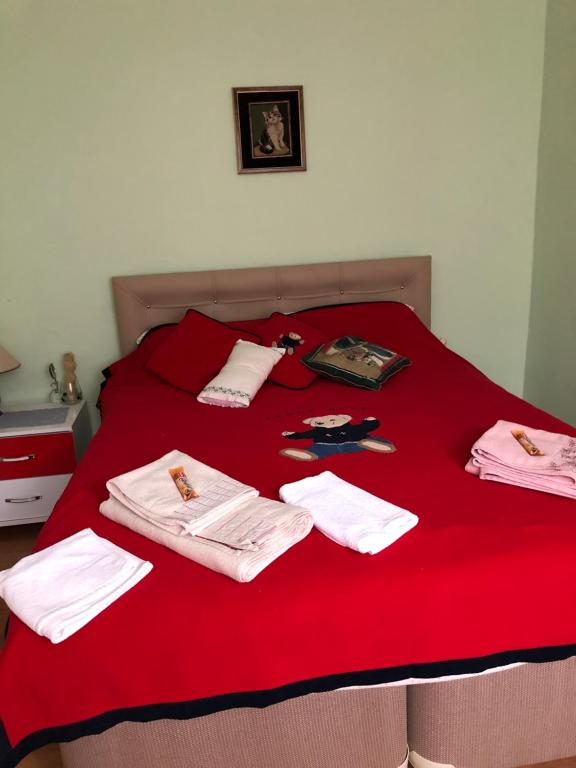 Mavi Ladin Konukevi - Double Room With Private Bathroom