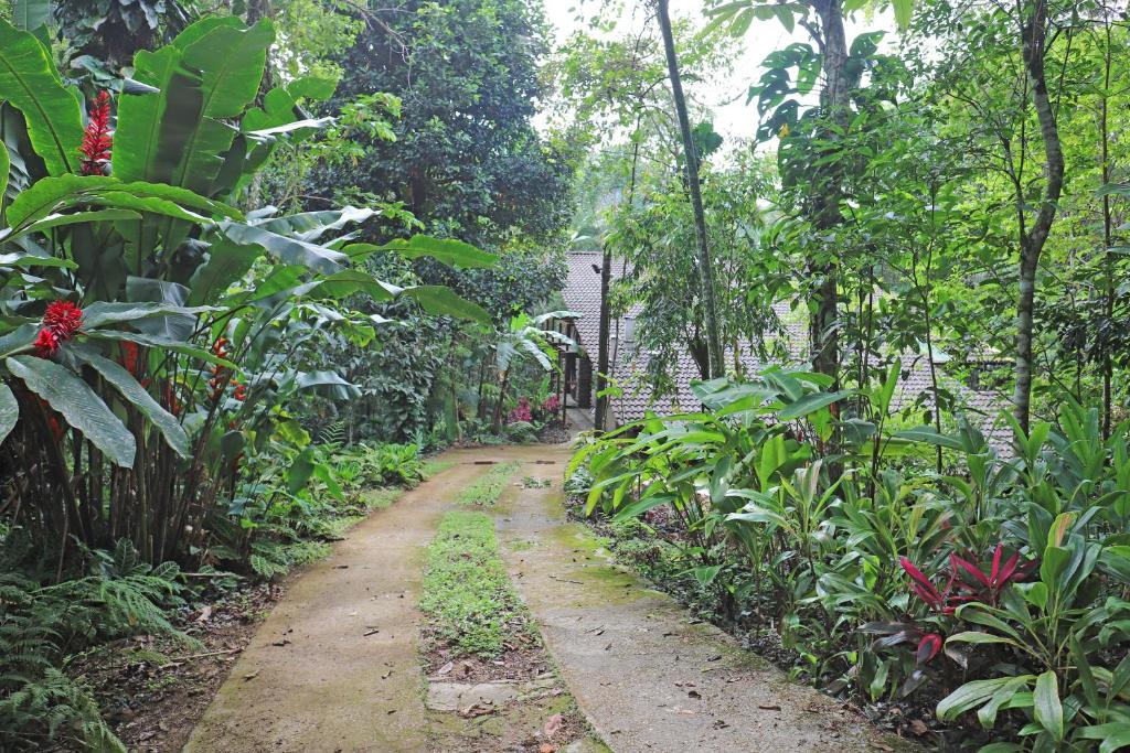  Beach House in Brazil