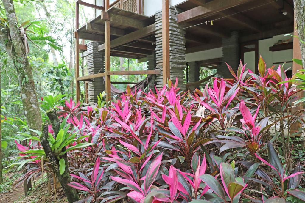  Beach House in Brazil