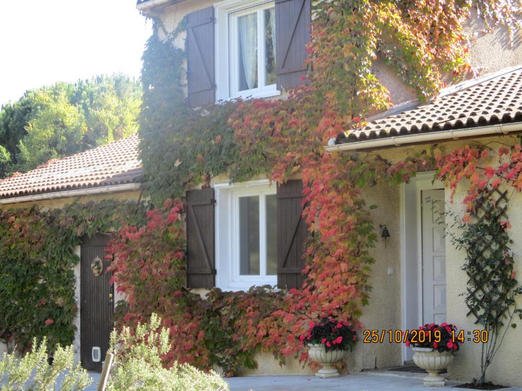 une maison recouverte de lierre avec des fenêtres et des portes dans l'établissement La Madeleine, à Pezens