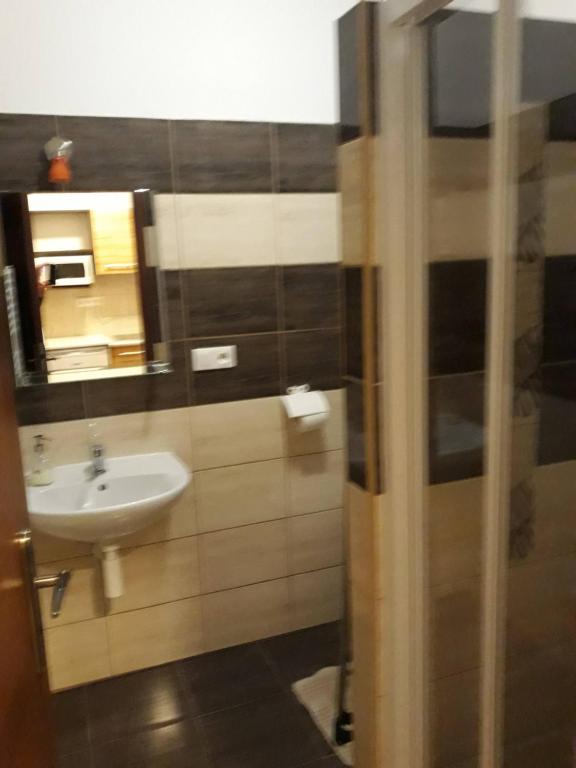 Koupelna v ubytování Fridrich apartman