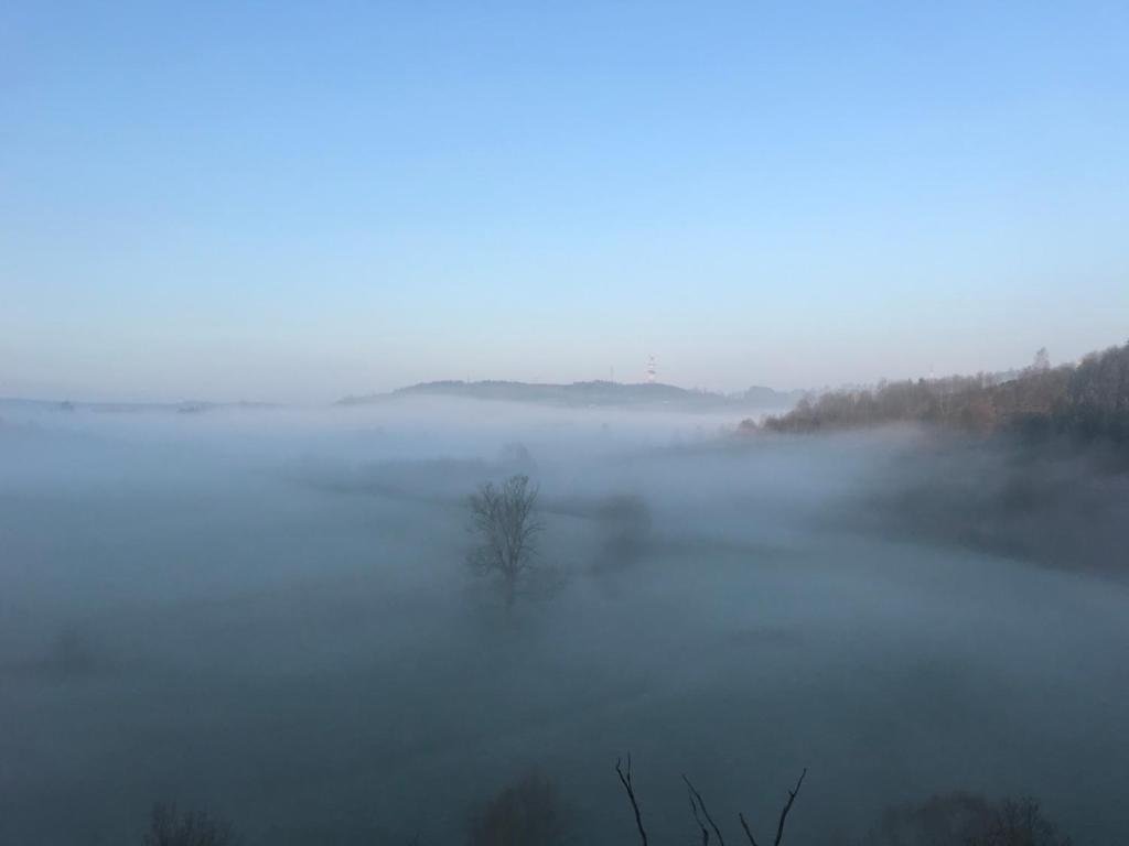 a foggy field with a tree in the middle at L'Auf der Tomm in Martelange