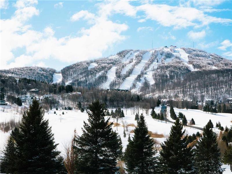 Splendid Mountain View Condo - Free Mountain Shuttle Included om vinteren