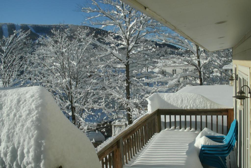 Townhouse W Private Deck & Mt View v zimě