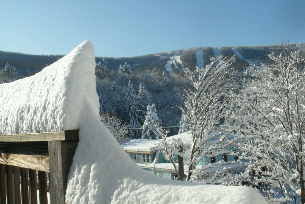 Townhouse W Private Deck & Mt View v zimě