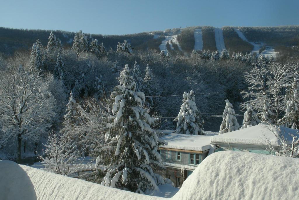 un edificio cubierto de nieve junto a un bosque de árboles en Townhouse W Private Deck & Mt View, en Windham