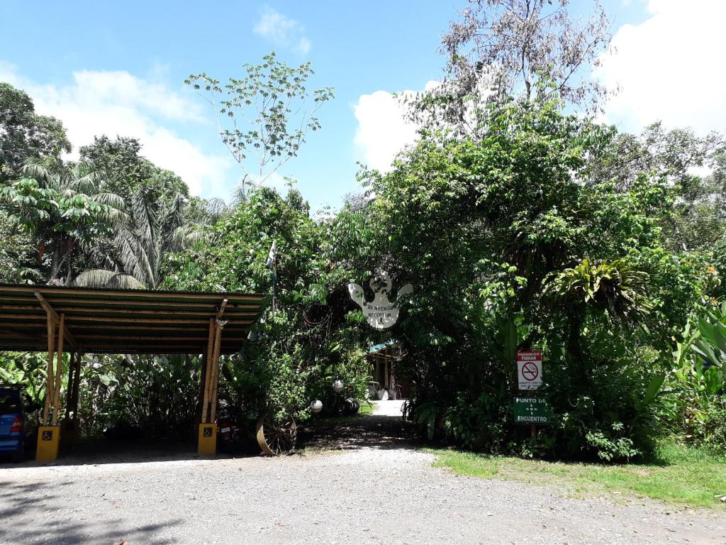 Fotografie z fotogalerie ubytování Danta Corcovado Lodge v destinaci Rincón