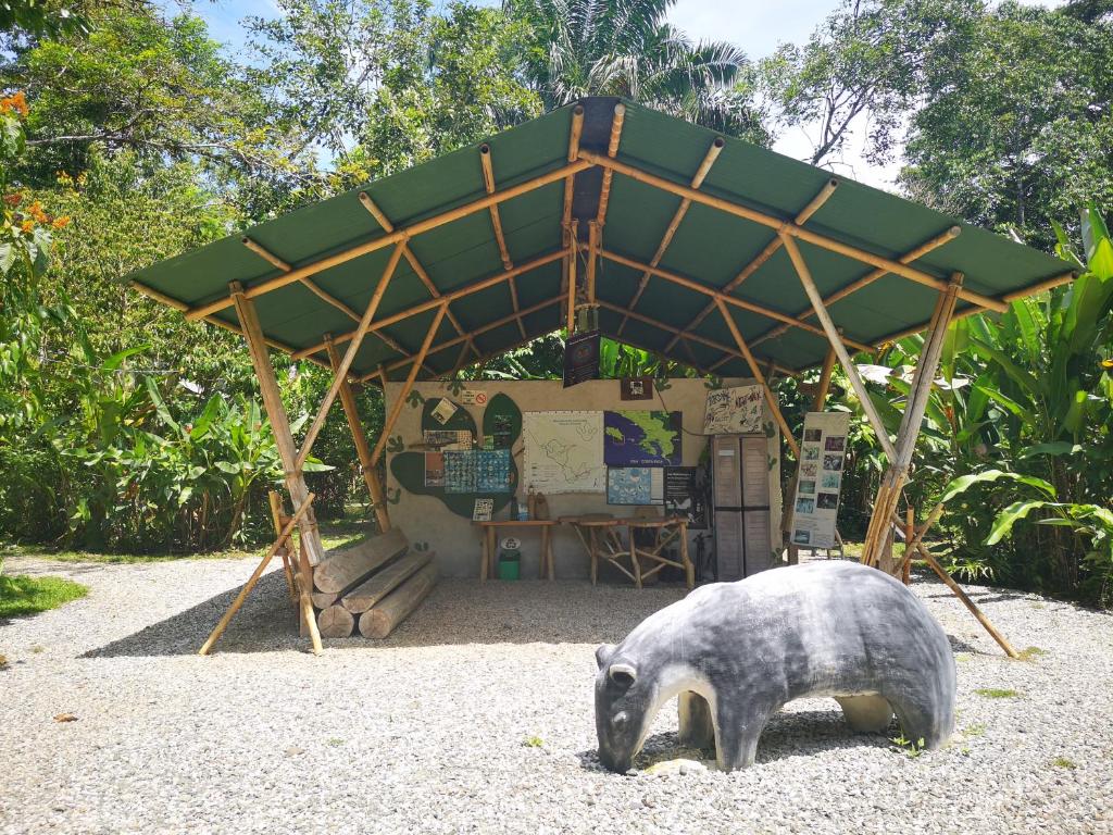 Fotografie z fotogalerie ubytování Danta Corcovado Lodge v destinaci Rincón