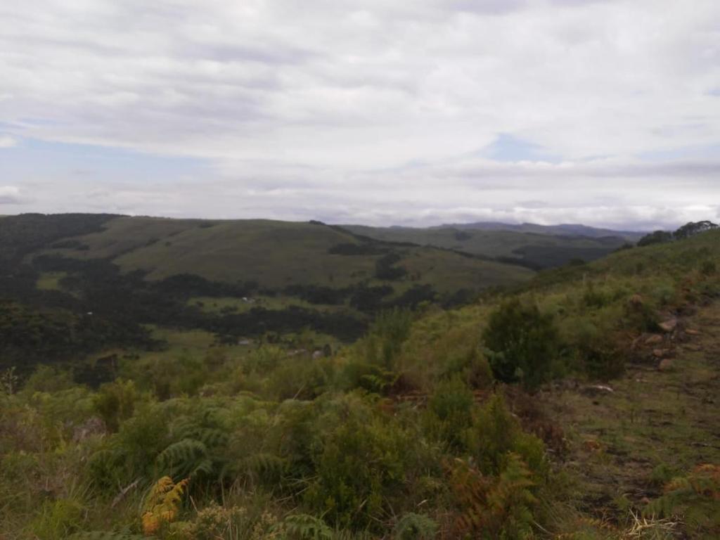  Flores da Serra Gastronomia e Turismo Rural
