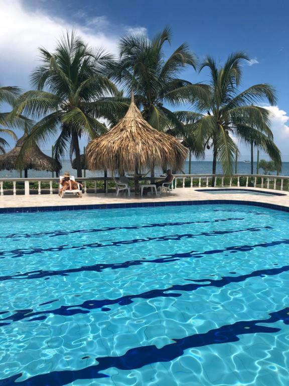una piscina con palmeras en el fondo en Alquiler casa en la playa, Tolu, en Tolú