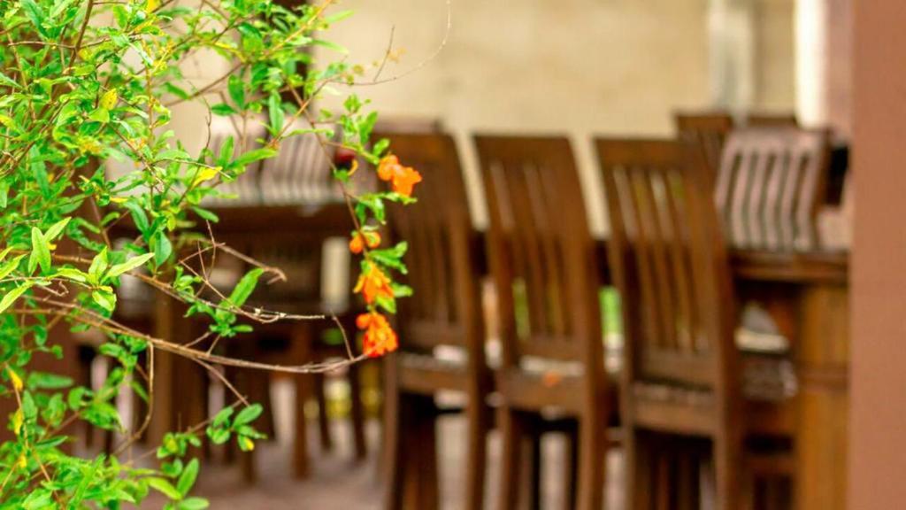 Fotografie z fotogalerie ubytování Serenity Lake Resort Yala v destinaci Tissamaharama
