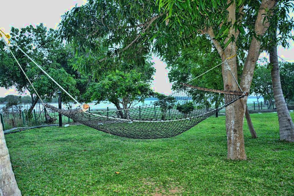 Zahrada ubytování Serenity Lake Resort Yala