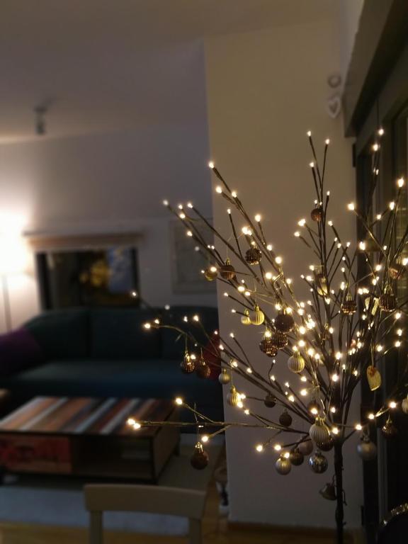 Fotografija v galeriji nastanitve apartman SUPERKLASIKO v Divčibarah