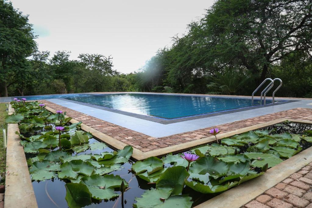 Bazén v ubytování Cloud Nine Lanka Resort Wilpattu nebo v jeho okolí