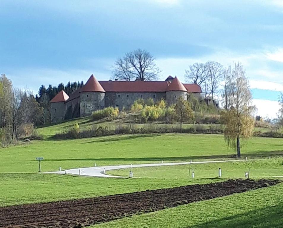 Zahrada ubytování Ferienbauernhof Koller (Familie Hofer) - Urlaub am Bauernhof