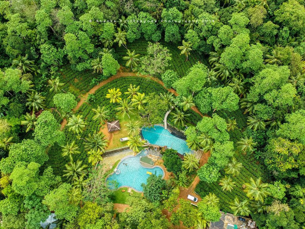 eine Luftansicht eines Resorts mit Pool und Bäumen in der Unterkunft Leisure Land in Galle