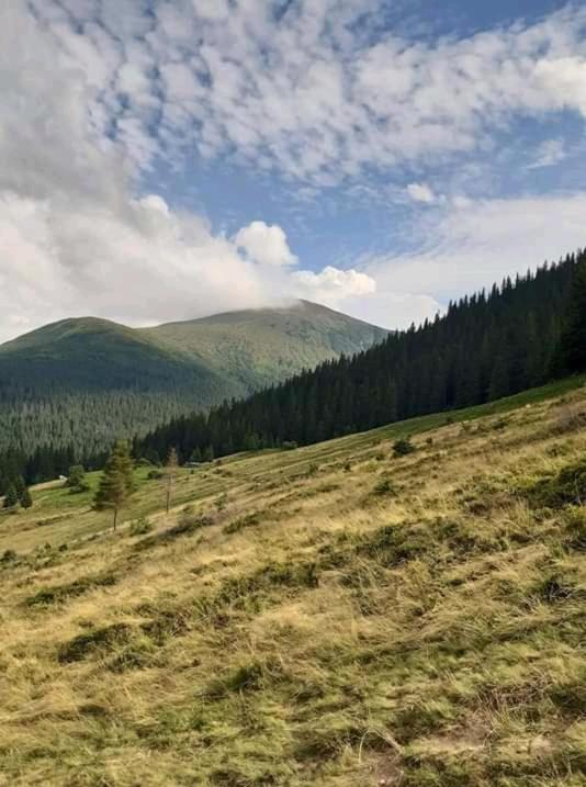 Příroda nedaleko penzionu – hostince