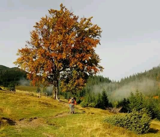 Příroda nedaleko penzionu – hostince