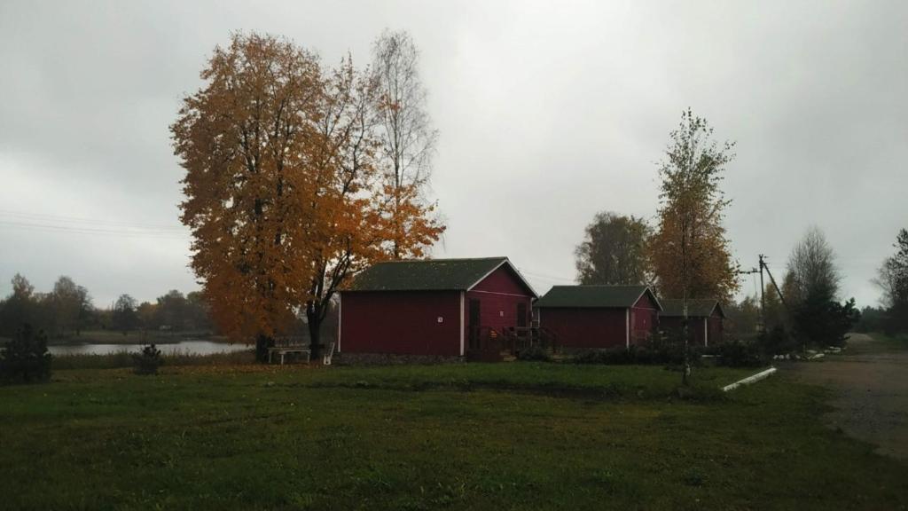 Гостевой дом на Берегова - отзывы и видео