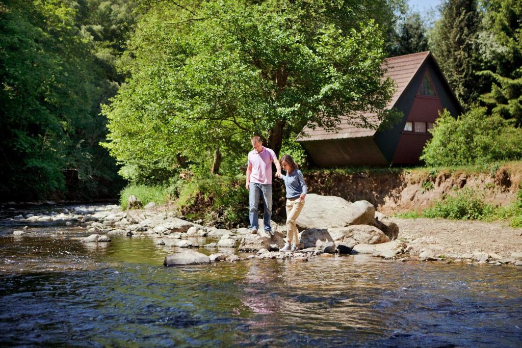 a man and a boy standing on rocks in a river at Domaine Long Pre in Stavelot