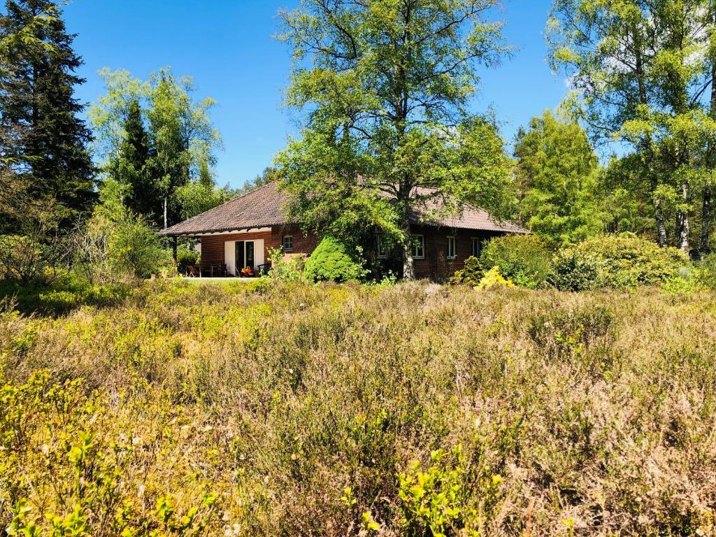 a house in the middle of a field at Landhaus mitten in der Lüneburger Heide in Undeloh