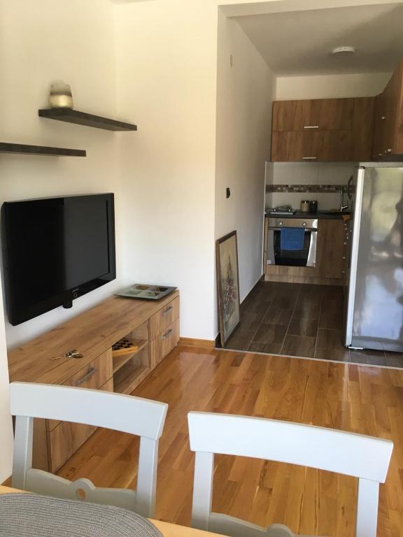 Kuhinja oz. manjša kuhinja v nastanitvi apartman SUPERKLASIKO