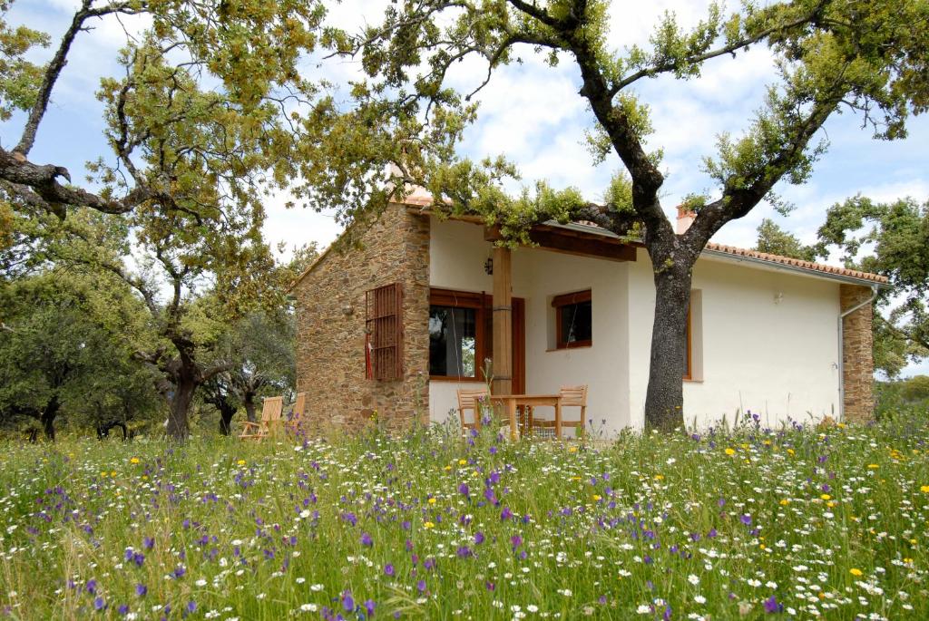 Zahrada ubytování Finca Las Abubillas