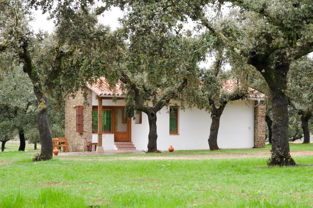 Zahrada ubytování Finca Las Abubillas