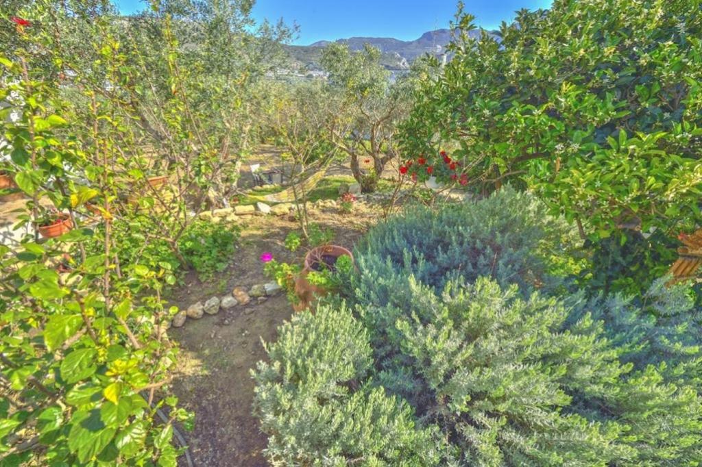Picturesque Traditional Stone House - Superior One-Bedroom House