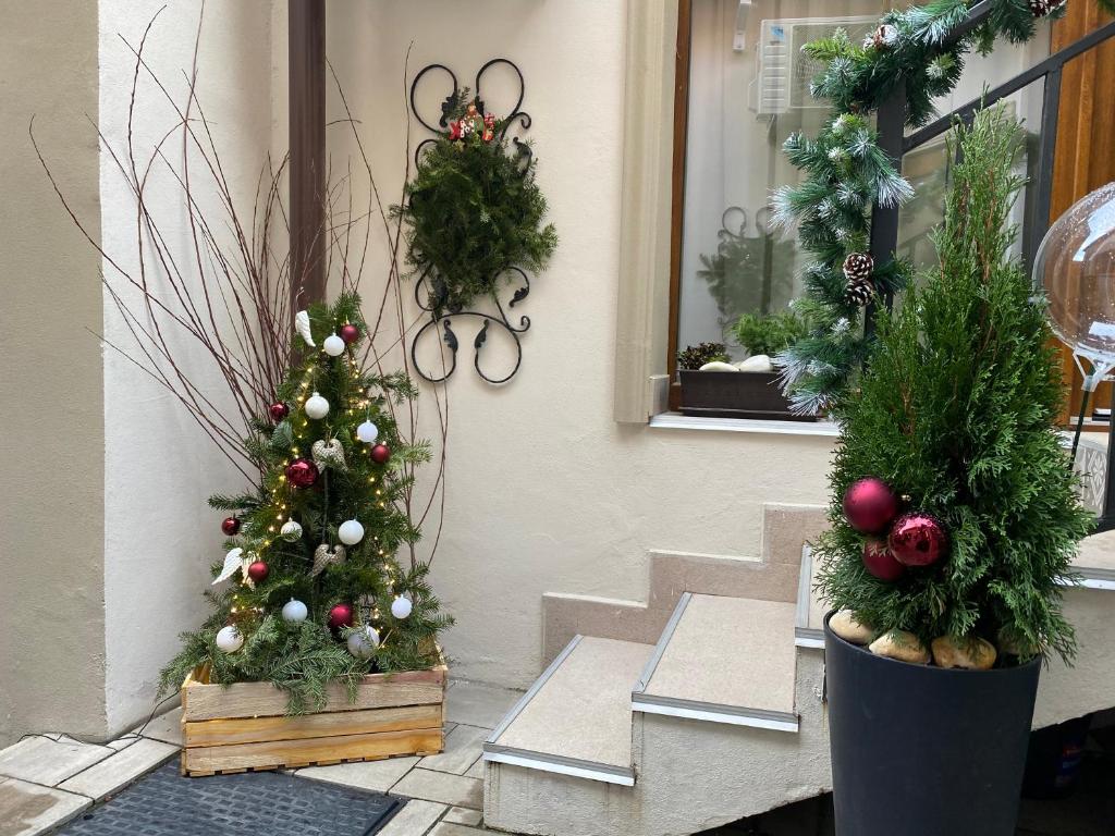 Lumiere House Sibiu - Resim 34