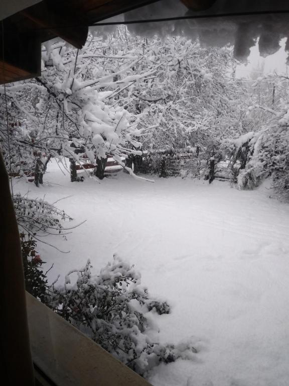 un patio cubierto de nieve con árboles y arbustos en Departamento Laguna Blanca en San Carlos de Bariloche