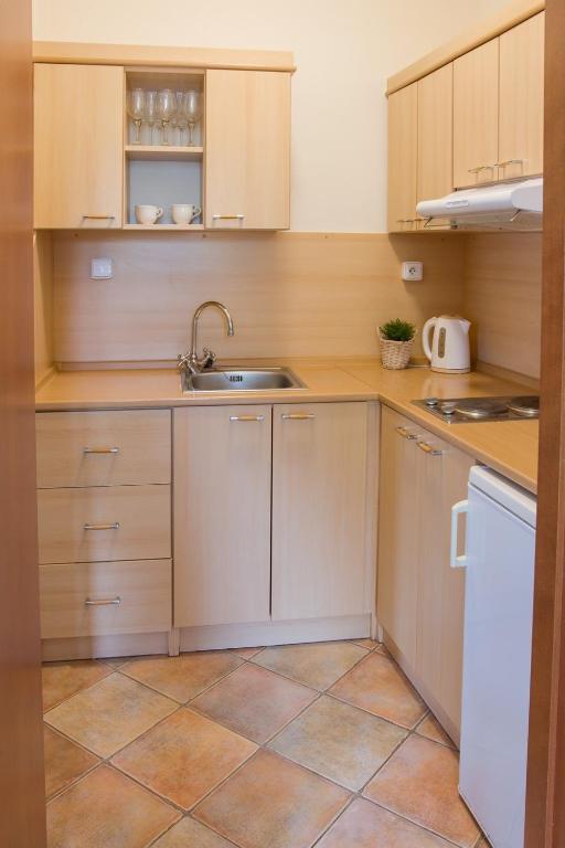 Kuchyň nebo kuchyňský kout v ubytování Apartmany A.Ša Kašperské Hory