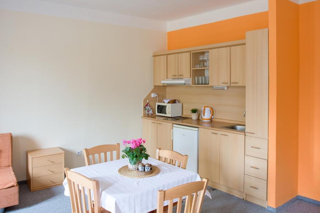 Kuchyň nebo kuchyňský kout v ubytování Apartmany A.Ša Kašperské Hory
